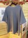 T-shirt with embroidered sleeves [Zakarpattya region]